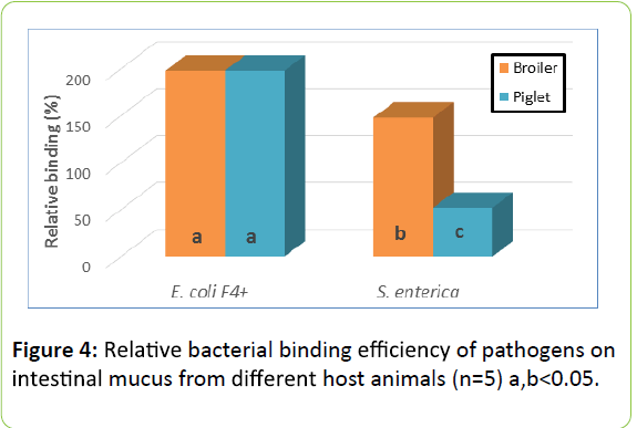 animalnutrition-Relative-bacterial